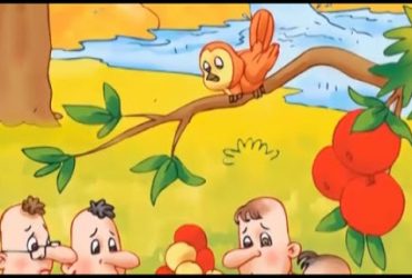 1.Sınıf Değerler Eğitimi Yardımseverlik Değeri Video Hikaye Eyvah Kaybolduk e-damla.tv 19 Dk Öğretmen