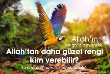 Bizi Seven Var. Allah’ın Kudretini, Yaratma Gücünü Ve Sanatını Düşünmek 1